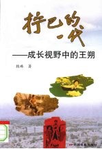 拧巴的一代:成长视野中的王朔
