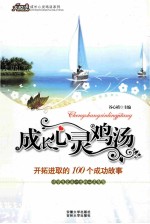 开拓进取的100个成功故事