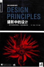 摄影中的设计 揭示作品背后的深层含义，启发您的摄影灵感