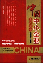 中国中小企业发展报告 2008-2009