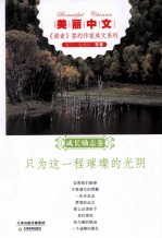 只为这一程璀璨的光阴