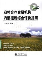农村合作金融机构内部控制综合评价指南