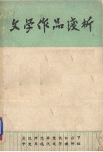 文学作品浅析
