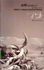 西藏,远方的上方