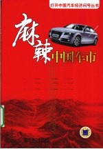 麻辣中国车市