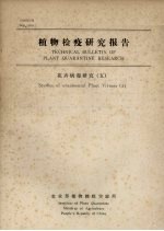 植物检疫研究报告 花卉病毒研究 5