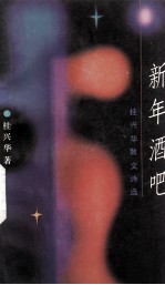 新年酒吧 桂兴华散文诗选