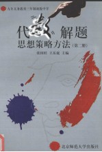 代数解题思想策略方法 第2册