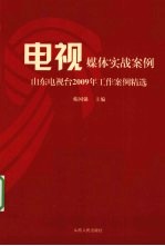 电视媒体实战案例 山东电视台2009年工作案例精选