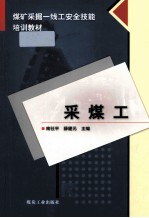 煤矿采掘一线工安全技能培训教材 采煤工