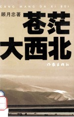 苍茫大西北