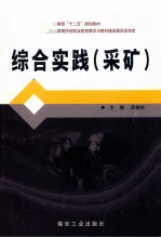 综合实践 采矿