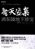 惊天盗案 清东陵地宫珍宝被盗之谜