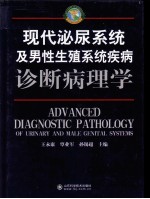 现代泌尿系统及男性生殖系统疾病诊断病理学