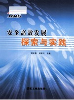 安全高效发展 探索与实践