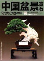 中国盆景赏石 2013-2