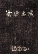 汝阳土壤