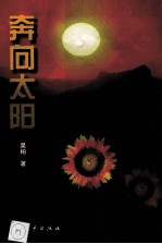 奔向太阳