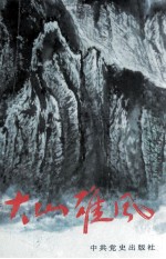 大山雄风