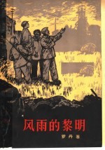 风雨的黎明 下