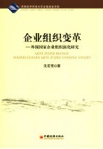 企业组织变革 外围国家企业组织演化研究