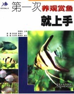 第一次养观赏鱼就上手