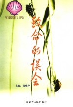 致命的误会