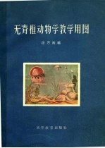 无脊椎动物学教学用图