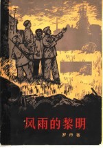 风雨的黎明 上