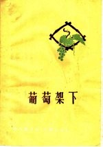 葡萄架下