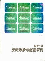 电视广告:视听形象与创意表现