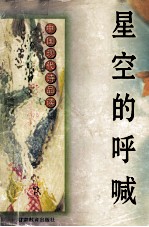 星空的呼喊 中国现代诗品读