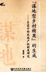“谋地型乡村精英”的生成 巨变中的农地产权制度研究