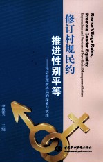 修订村规民约 推进性别平等 社会管理新格局的探索与实践