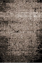 八旗通志初集 22