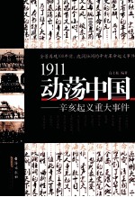 1911动荡中国 辛亥起义重大事件