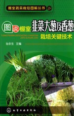 图说棚室韭菜大葱及香葱栽培关键技术