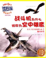 战斗机为什么被称为空中雄鹰 有关飞行家族的40个趣问妙答 美绘注音版