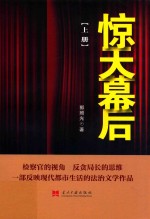 惊天幕后 上