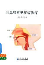耳鼻喉常见疾病诊疗