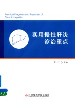 实用慢性肝炎诊治重点