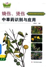 烧伤、烫伤中草药识别与应用
