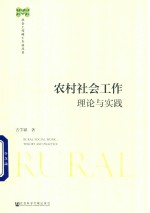 农村社会工作 理论与实践