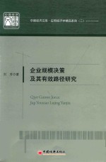 企业规模决策及其有效路径研究