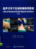 超声引导下区域疼痛阻滞图谱 第2版