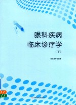 眼科疾病临床诊疗学 下