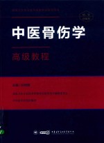 中医骨伤学 高级教程