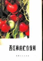西红柿的贮存保鲜