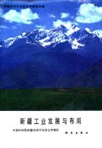 新疆资源开发综合考察报告集 新疆工业发展与布局