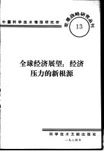 全球经济展望 经济压力的新根源